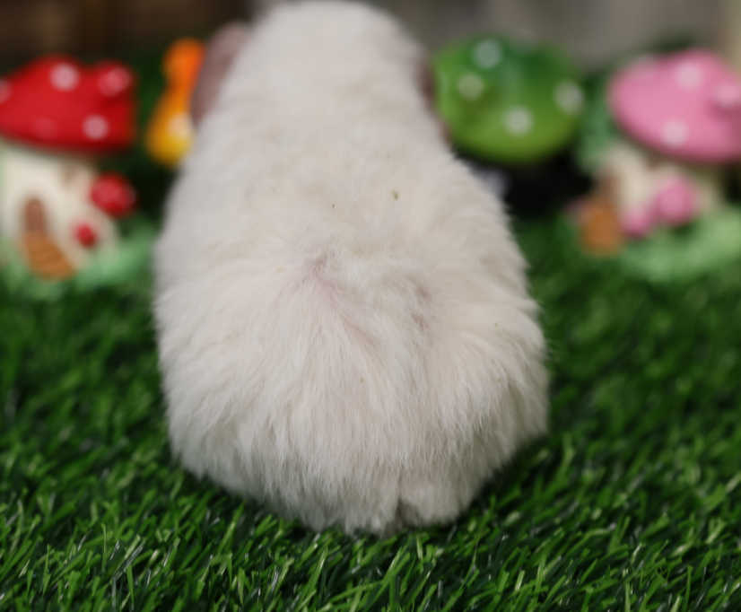 QQ20240920-113727.png