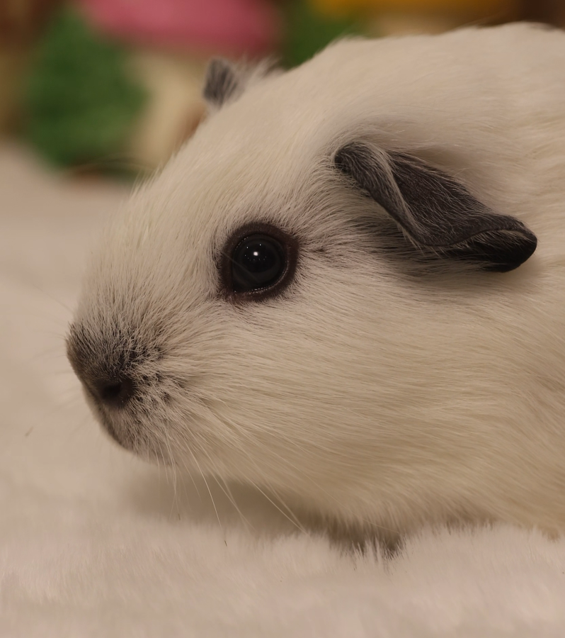 QQ20241118-200848.png
